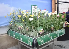 During the trials, they show how it looks at retail, in garden and as finished product.